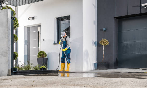 Best House Exterior Washing  in Farmington, MN